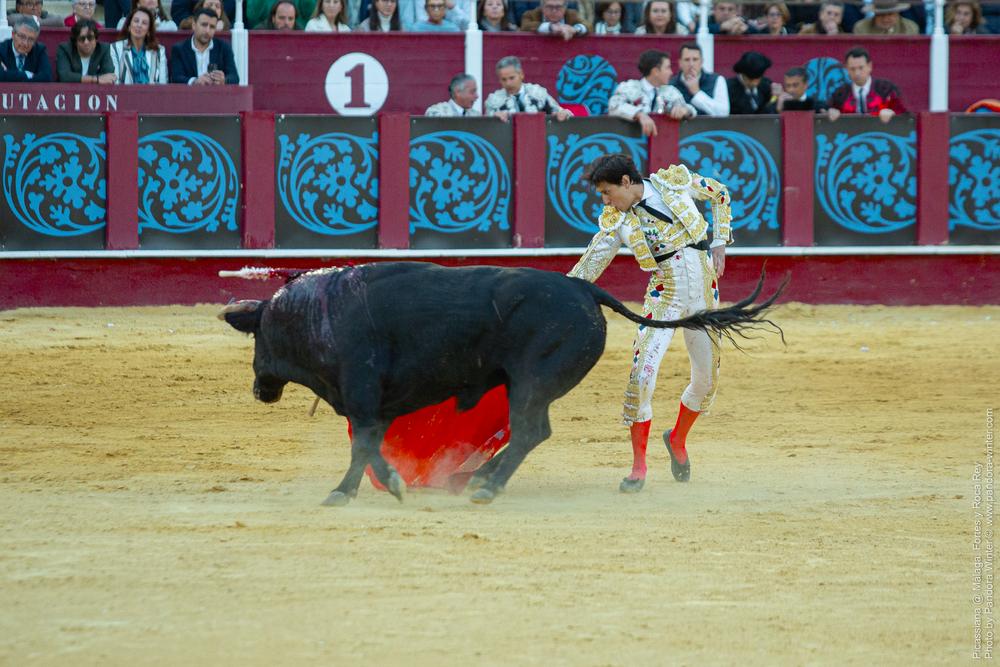 Corrida Picassiana @ Málaga, 19-04-2025