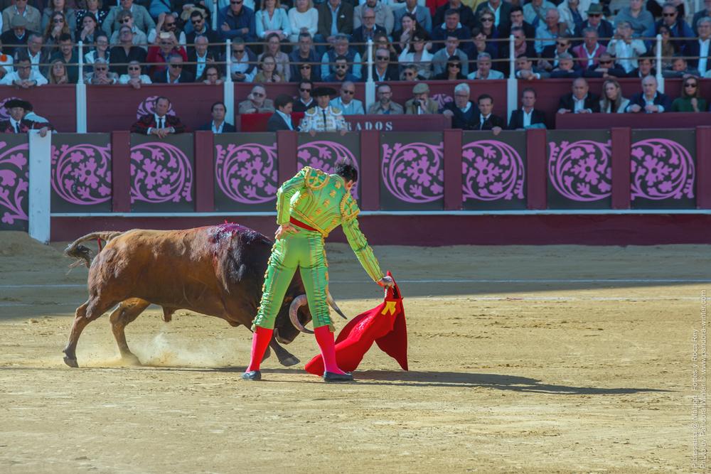 Corrida Picassiana @ Málaga, 19-04-2025