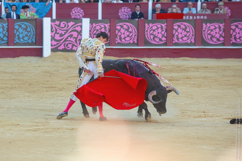 Corrida Picassiana @ Málaga, 19-04-2025