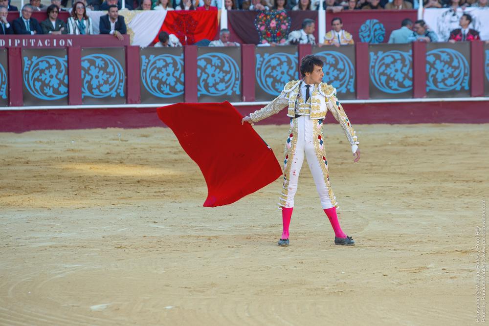 Corrida Picassiana @ Málaga, 19-04-2025