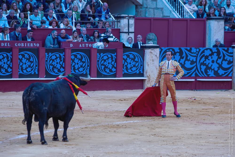 Corrida Picassiana @ Málaga, 19-04-2025