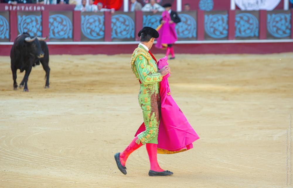 Corrida Picassiana @ Málaga, 19-04-2025