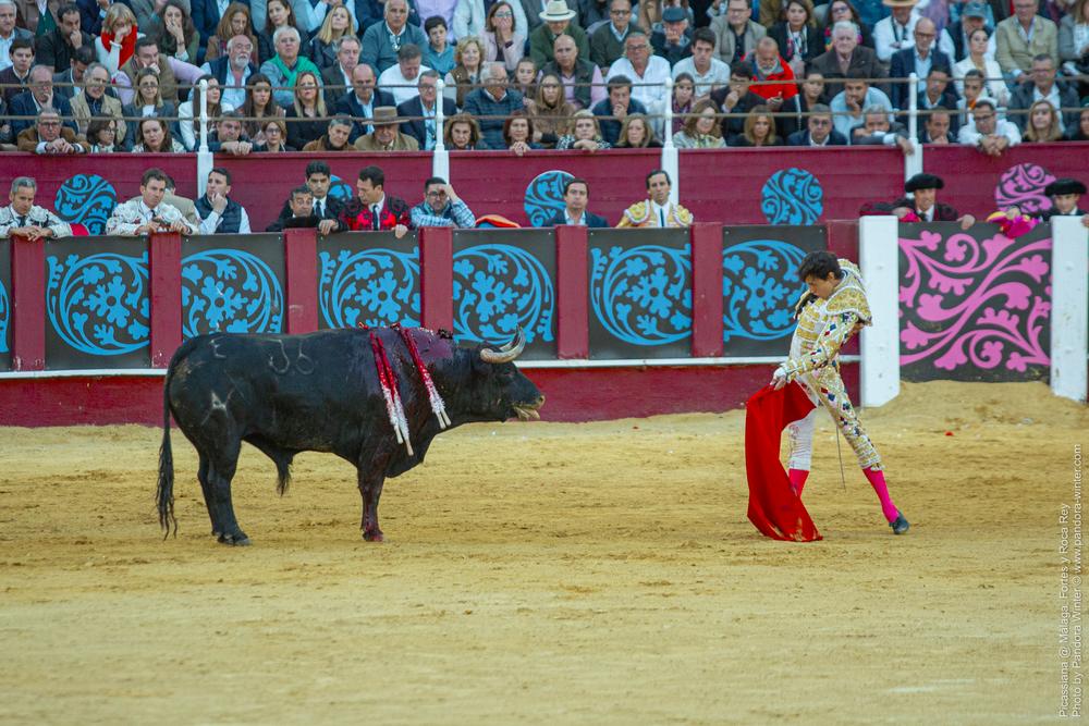 Corrida Picassiana @ Málaga, 19-04-2025