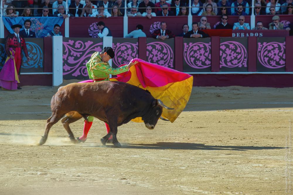 Corrida Picassiana @ Málaga, 19-04-2025