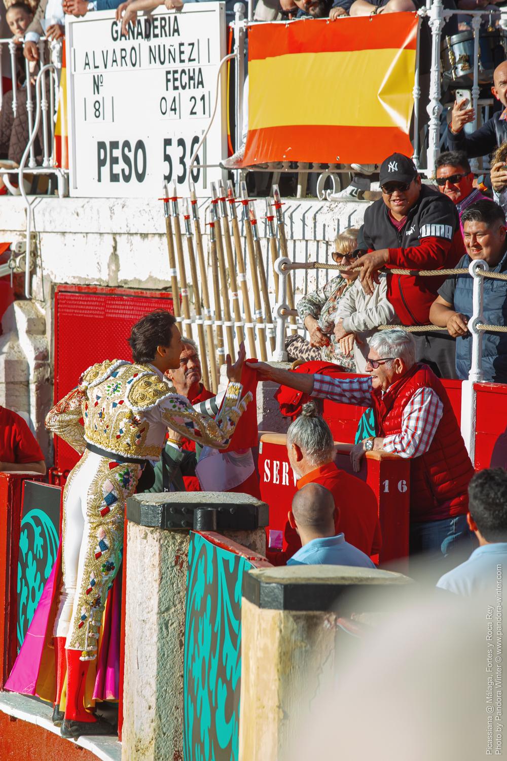 Corrida Picassiana @ Málaga, 19-04-2025