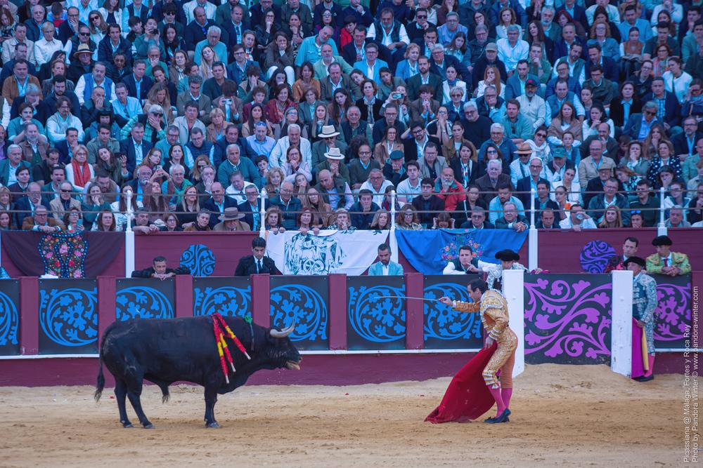 Corrida Picassiana @ Málaga, 19-04-2025
