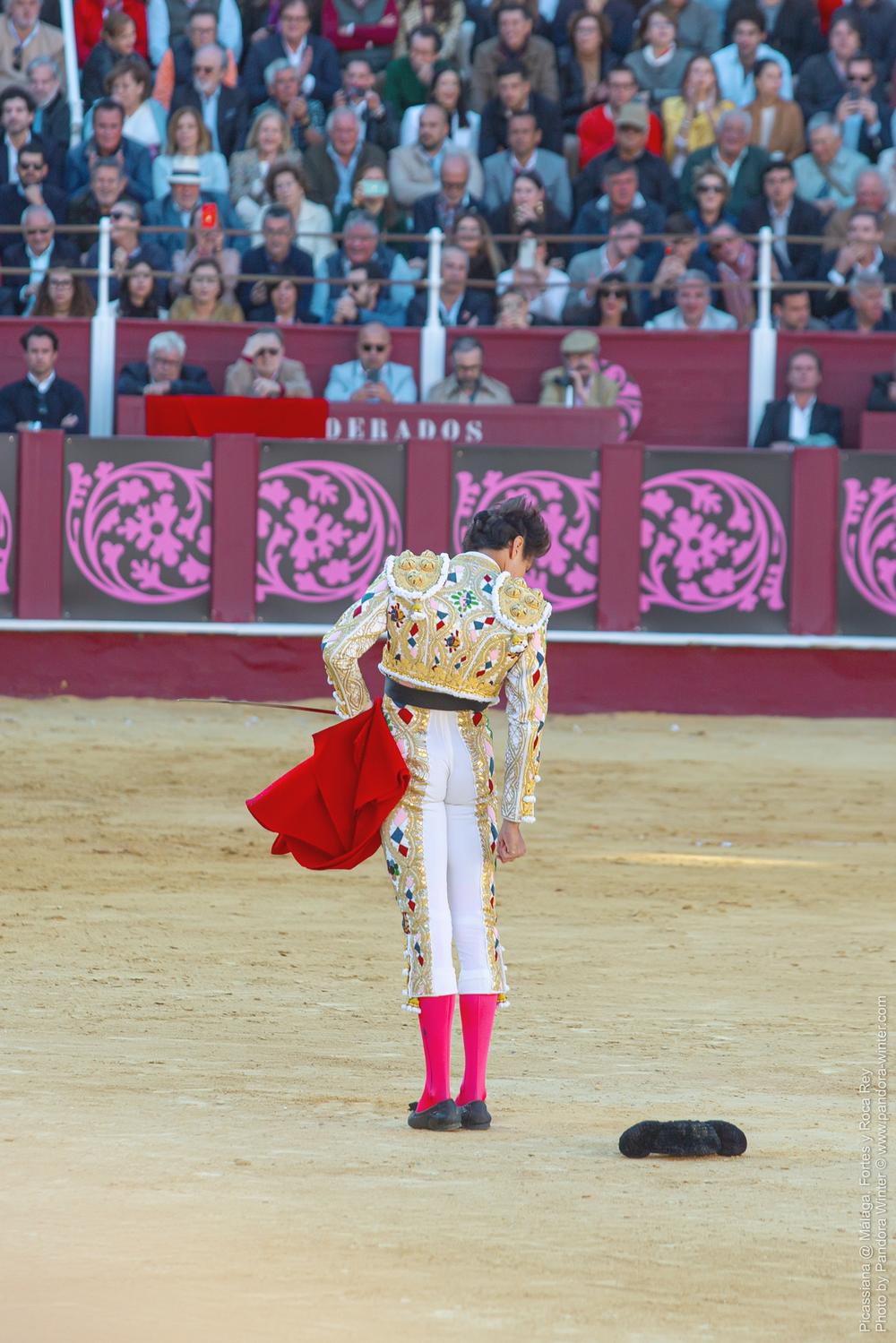 Corrida Picassiana @ Málaga, 19-04-2025