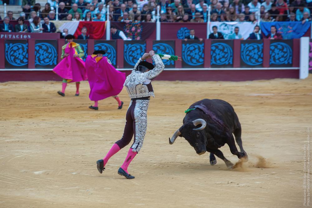 Corrida Picassiana @ Málaga, 19-04-2025