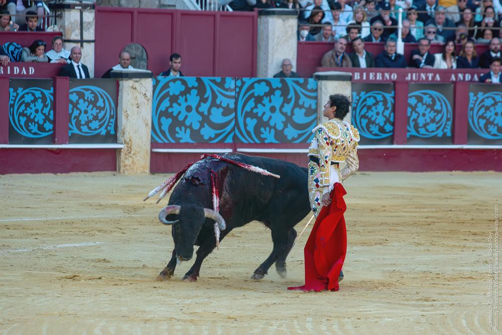 Corrida Picassiana @ Málaga, 19-04-2025