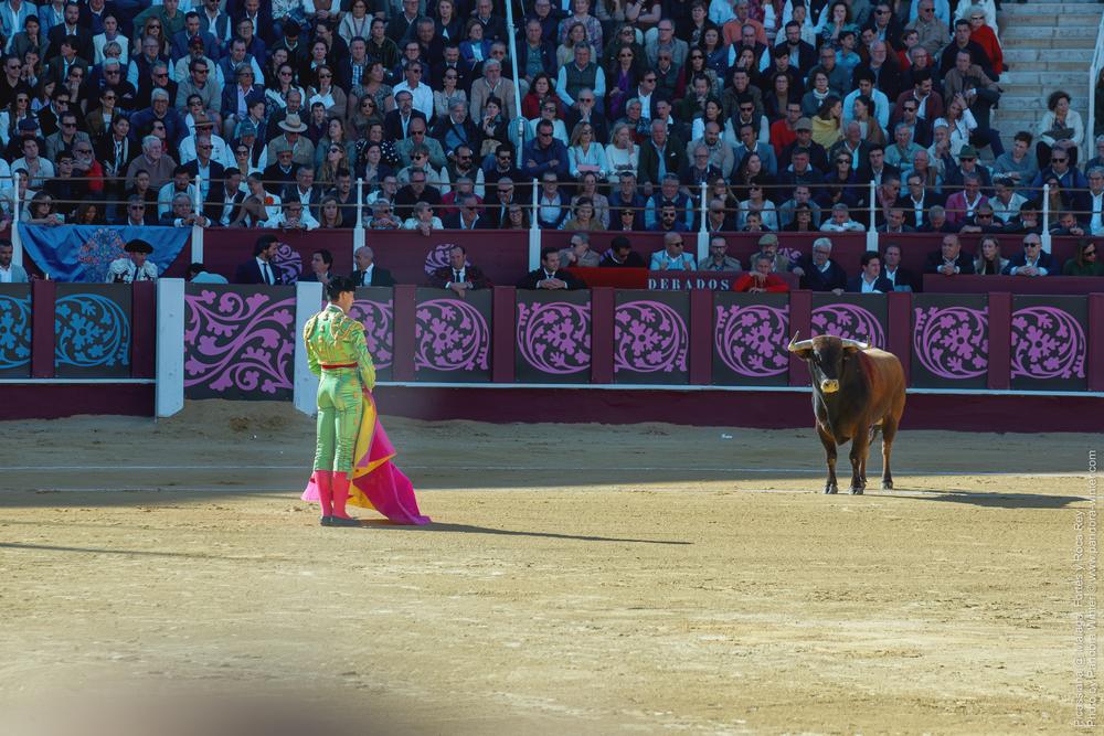 Corrida Picassiana @ Málaga, 19-04-2025