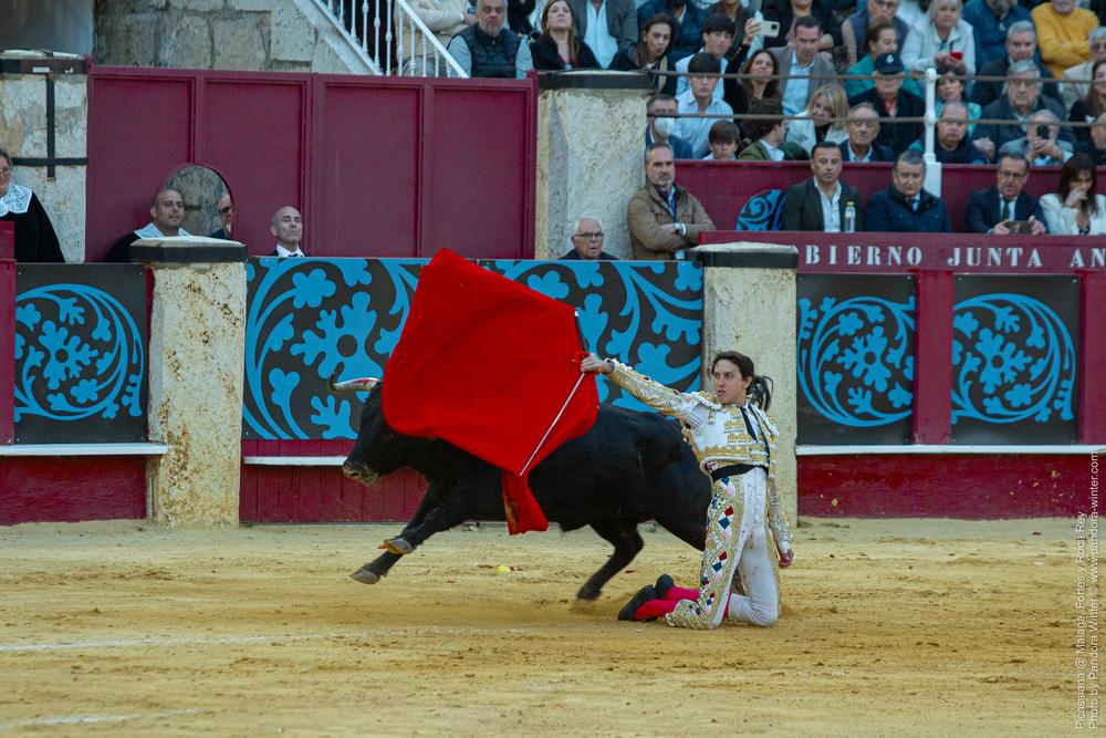 Corrida Picassiana @ Málaga, 19-04-2025
