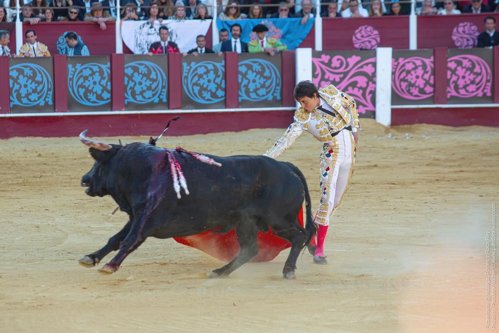 Corrida Picassiana @ Málaga, 19-04-2025