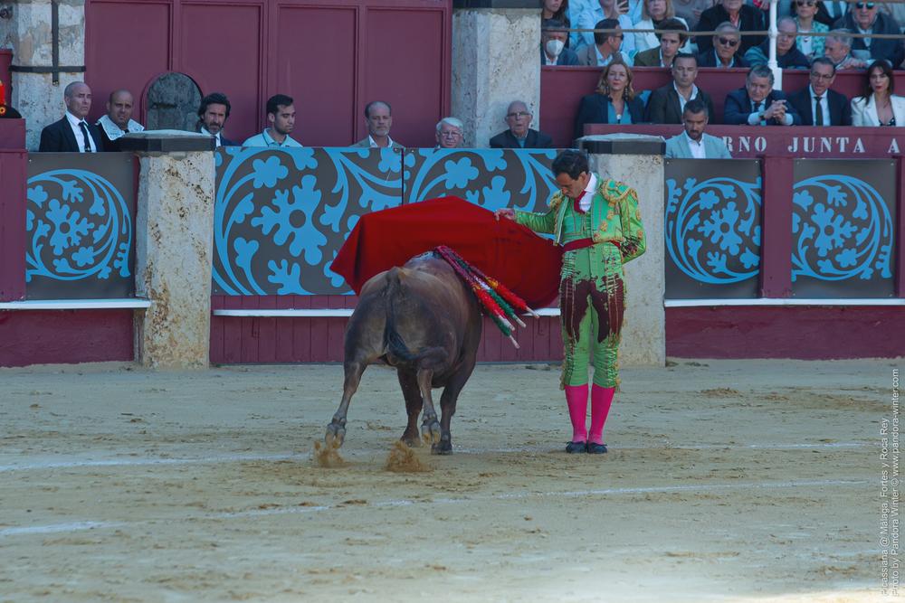 Corrida Picassiana @ Málaga, 19-04-2025