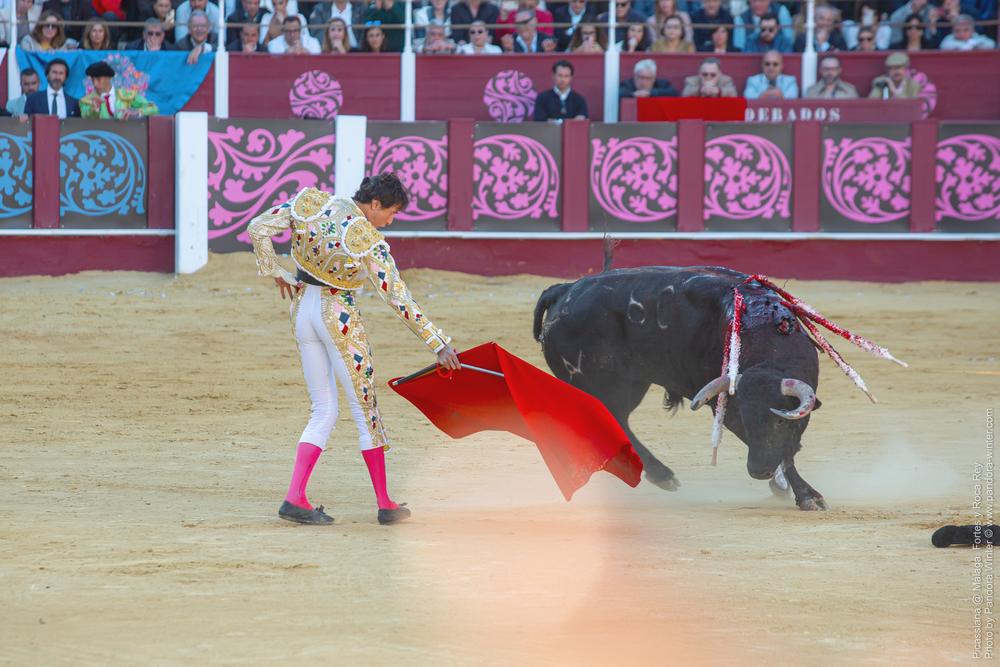 Corrida Picassiana @ Málaga, 19-04-2025