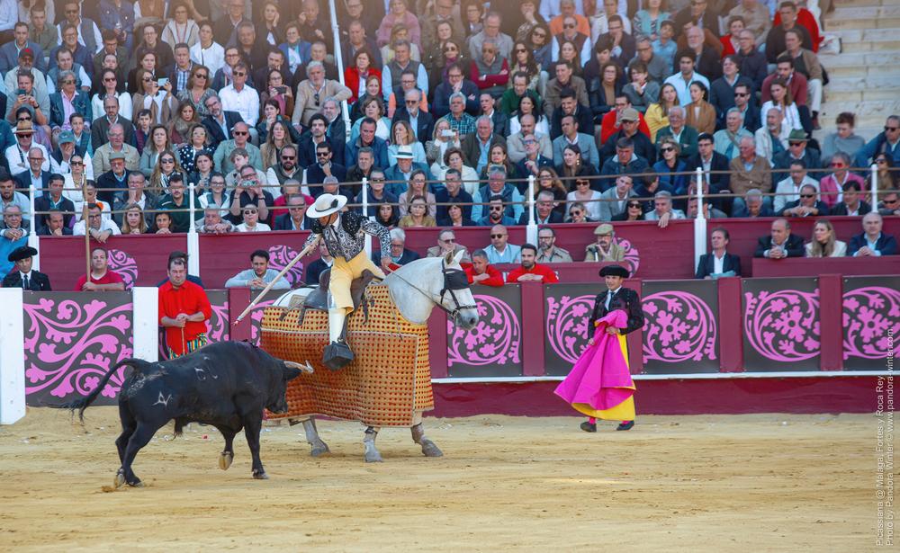 Corrida Picassiana @ Málaga, 19-04-2025