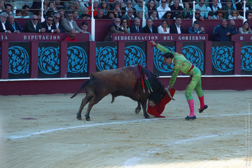 Corrida Picassiana @ Málaga, 19-04-2025