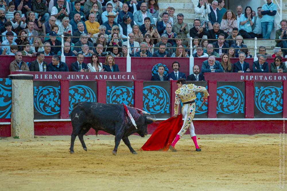Corrida Picassiana @ Málaga, 19-04-2025