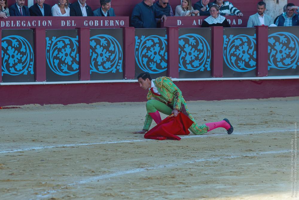 Corrida Picassiana @ Málaga, 19-04-2025