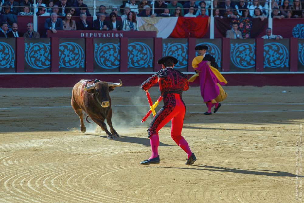 Corrida Picassiana @ Málaga, 19-04-2025