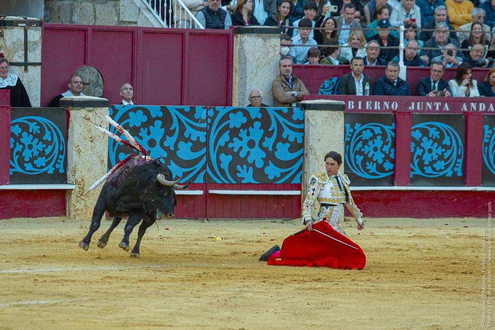 Corrida Picassiana @ Málaga, 19-04-2025