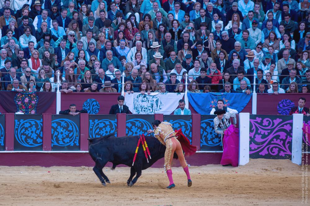 Corrida Picassiana @ Málaga, 19-04-2025