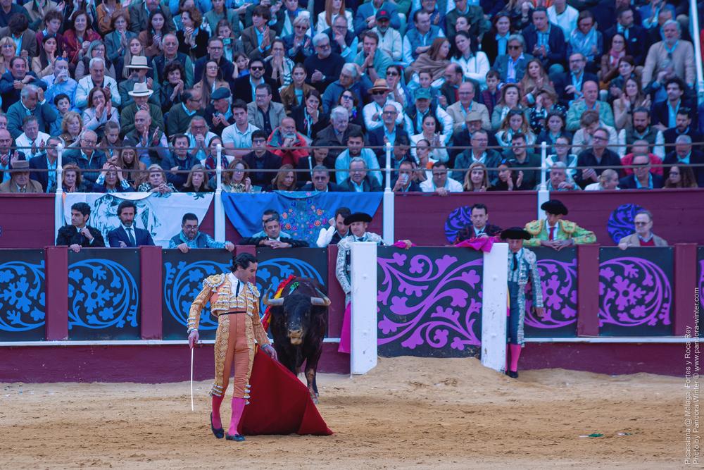 Corrida Picassiana @ Málaga, 19-04-2025