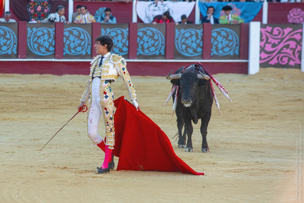 Corrida Picassiana @ Málaga, 19-04-2025