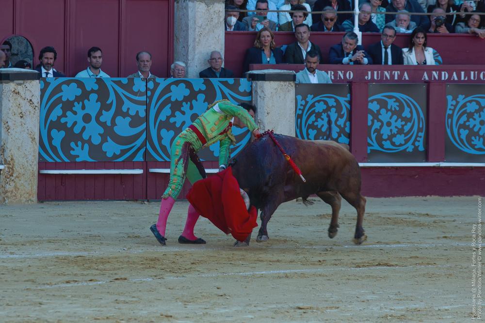 Corrida Picassiana @ Málaga, 19-04-2025