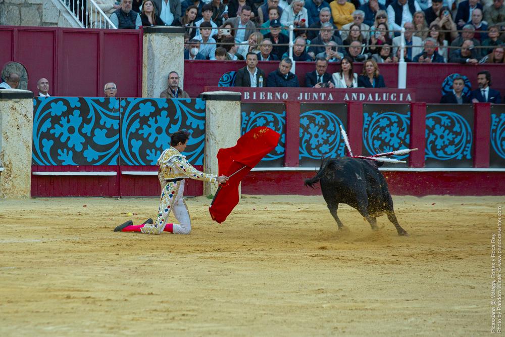 Corrida Picassiana @ Málaga, 19-04-2025