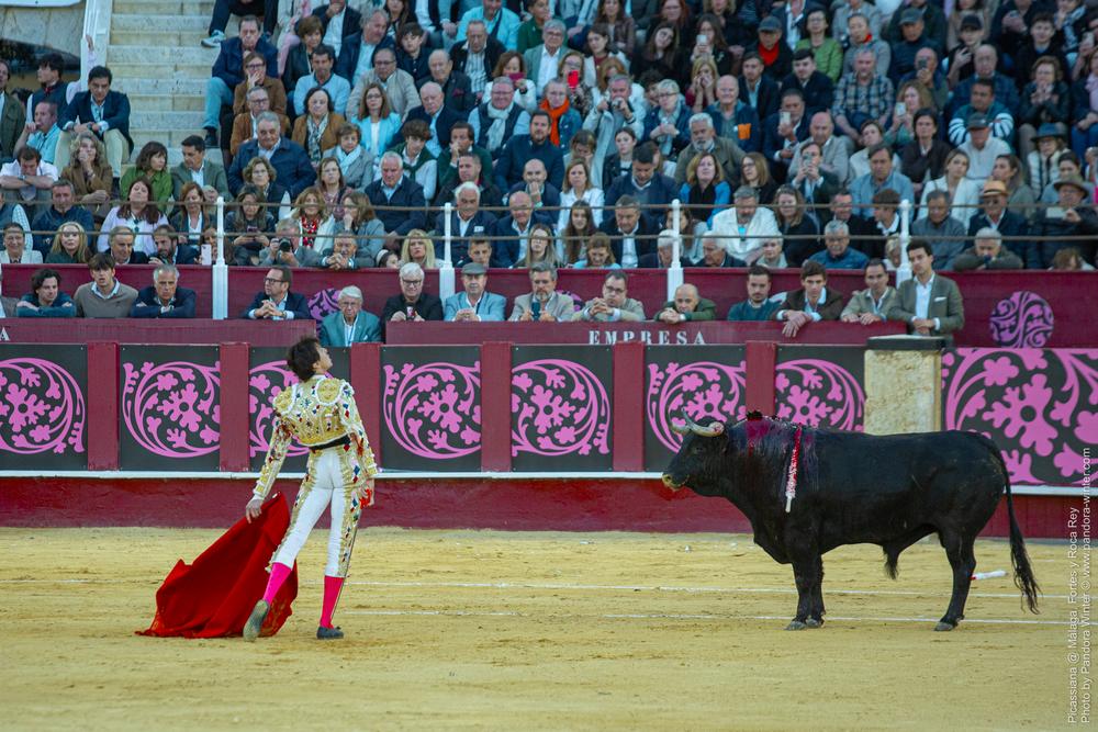 Corrida Picassiana @ Málaga, 19-04-2025