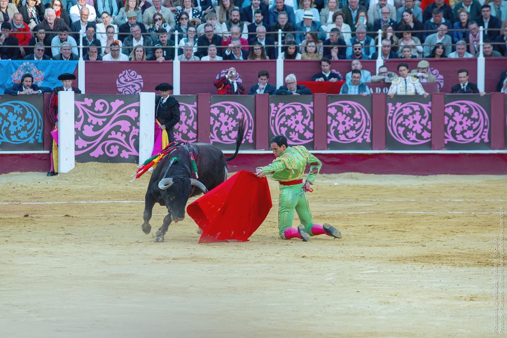 Corrida Picassiana @ Málaga, 19-04-2025