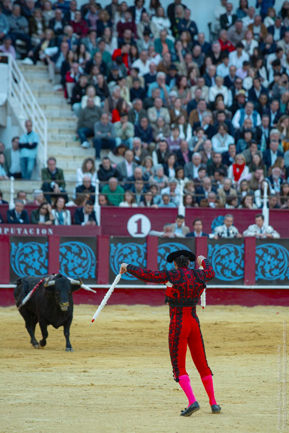 Corrida Picassiana @ Málaga, 19-04-2025