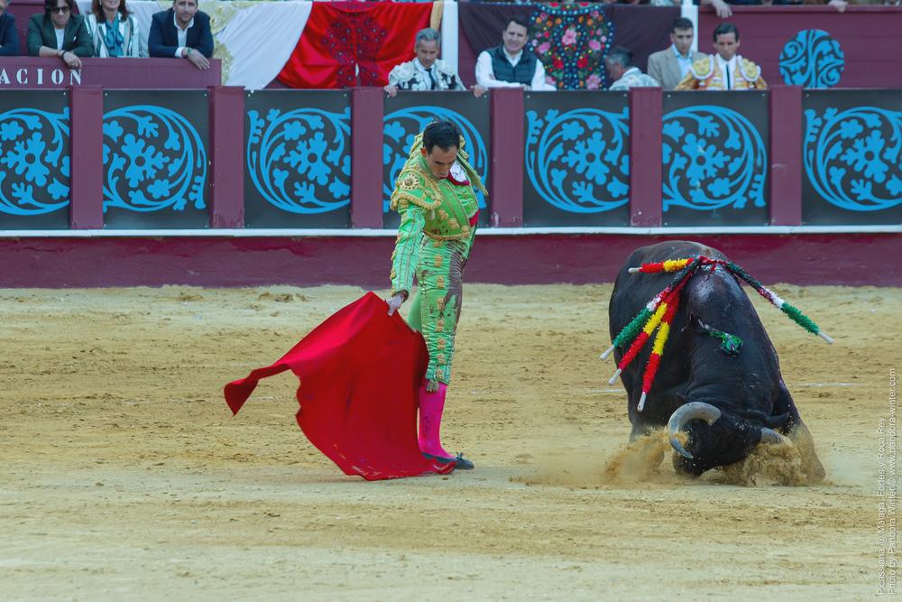 Corrida Picassiana @ Málaga, 19-04-2025