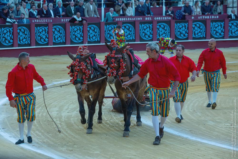 Corrida Picassiana @ Málaga, 19-04-2025