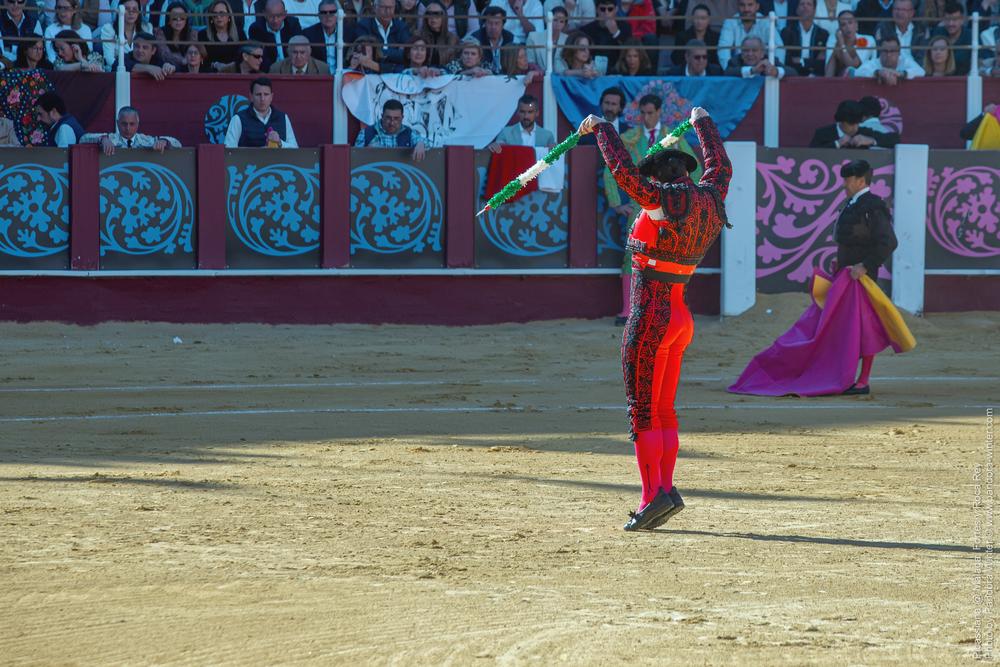 Corrida Picassiana @ Málaga, 19-04-2025