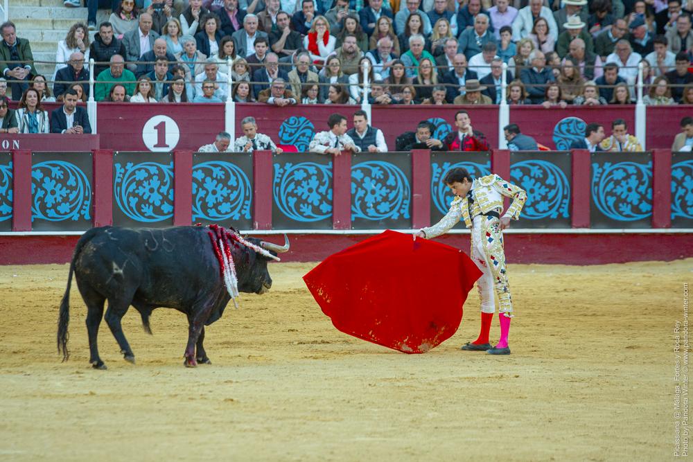 Corrida Picassiana @ Málaga, 19-04-2025