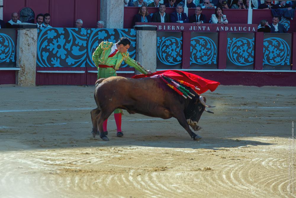 Corrida Picassiana @ Málaga, 19-04-2025