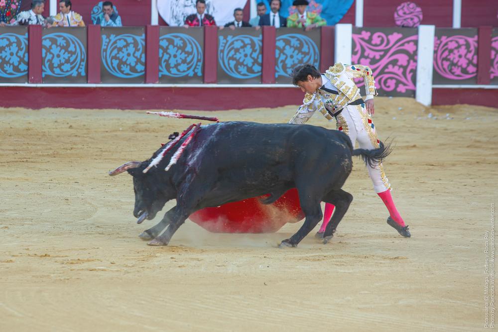 Corrida Picassiana @ Málaga, 19-04-2025