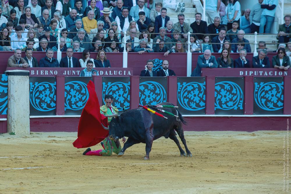 Corrida Picassiana @ Málaga, 19-04-2025