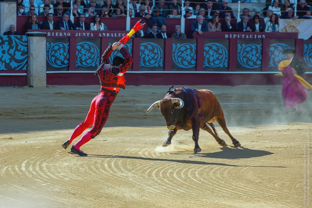 Corrida Picassiana @ Málaga, 19-04-2025