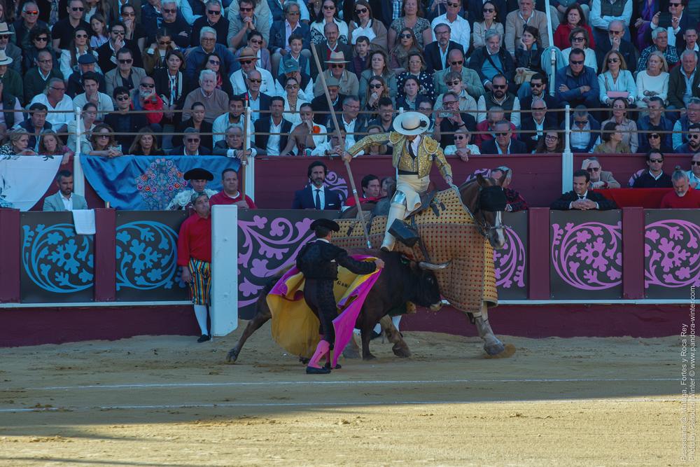 Corrida Picassiana @ Málaga, 19-04-2025
