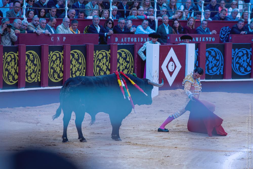 Corrida Picassiana @ Málaga, 19-04-2025