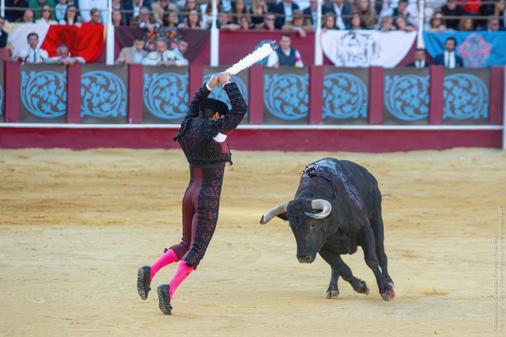 Corrida Picassiana @ Málaga, 19-04-2025