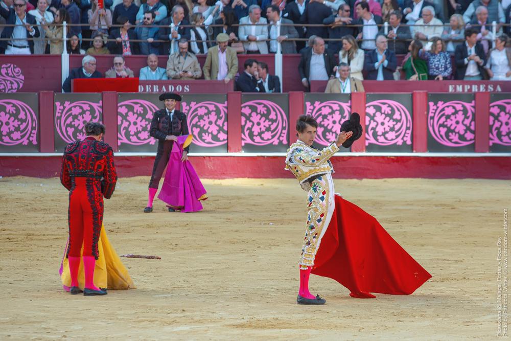 Corrida Picassiana @ Málaga, 19-04-2025