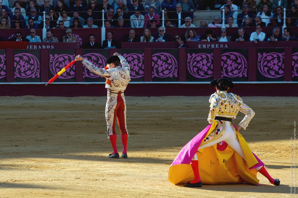Corrida Picassiana @ Málaga, 19-04-2025