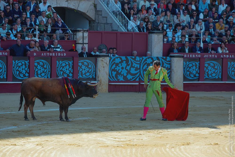 Corrida Picassiana @ Málaga, 19-04-2025