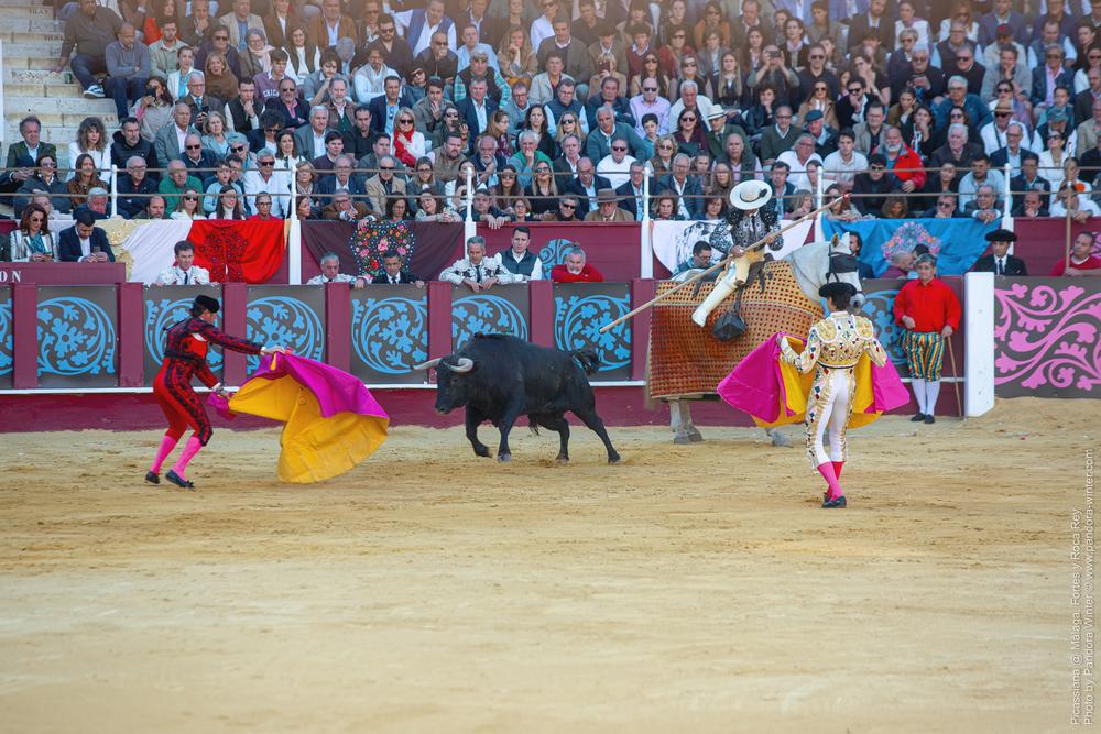 Corrida Picassiana @ Málaga, 19-04-2025