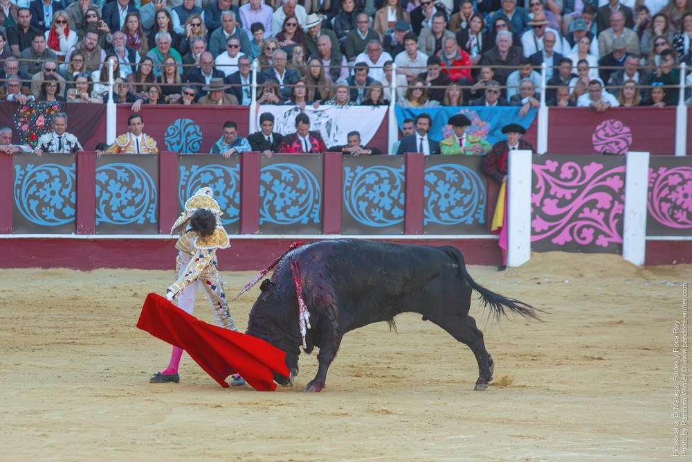 Corrida Picassiana @ Málaga, 19-04-2025