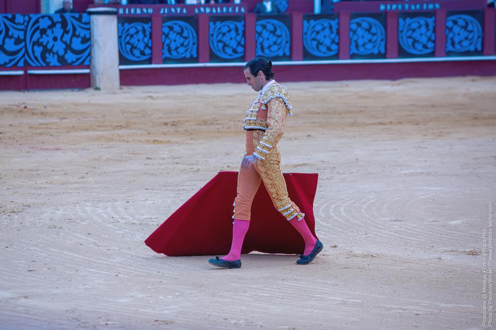Corrida Picassiana @ Málaga, 19-04-2025