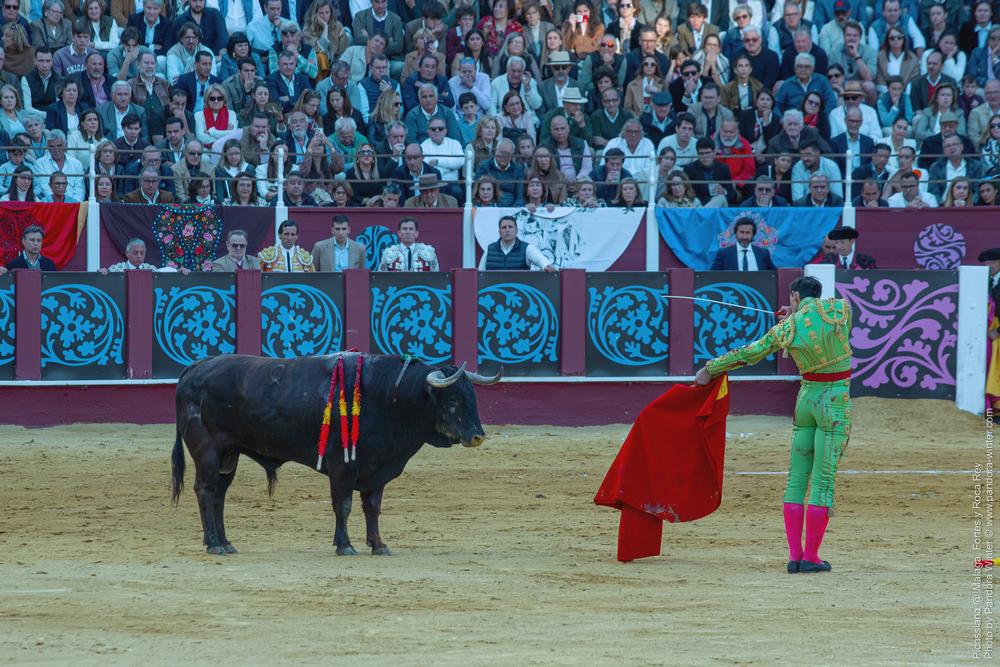Corrida Picassiana @ Málaga, 19-04-2025